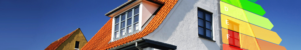 Banner - Jan Rolshausen