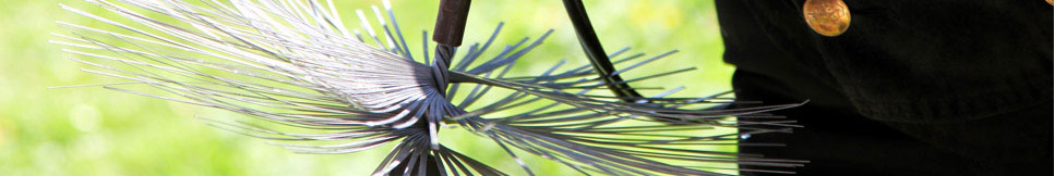 Banner - Jan Rolshausen